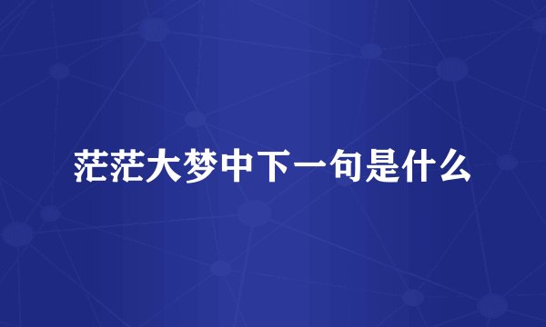 茫茫大梦中下一句是什么