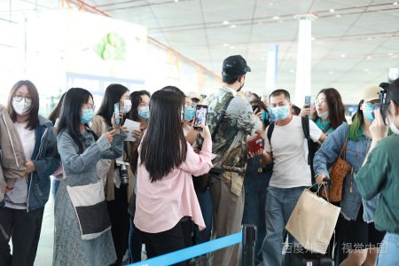 电视剧不期而至小说