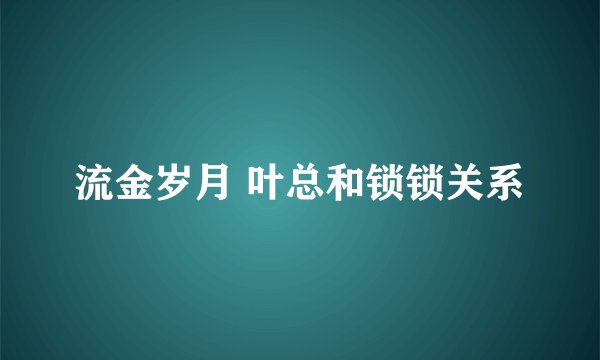 流金岁月 叶总和锁锁关系