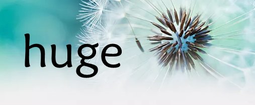 huge 英文单词怎么读