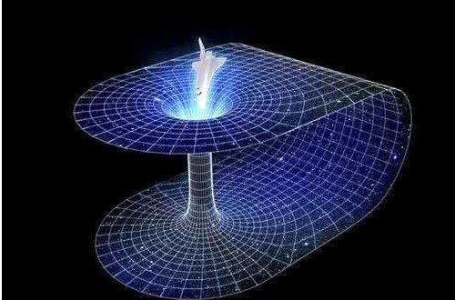 四维空间的生物真的存在？乌贼是四维生物吗？