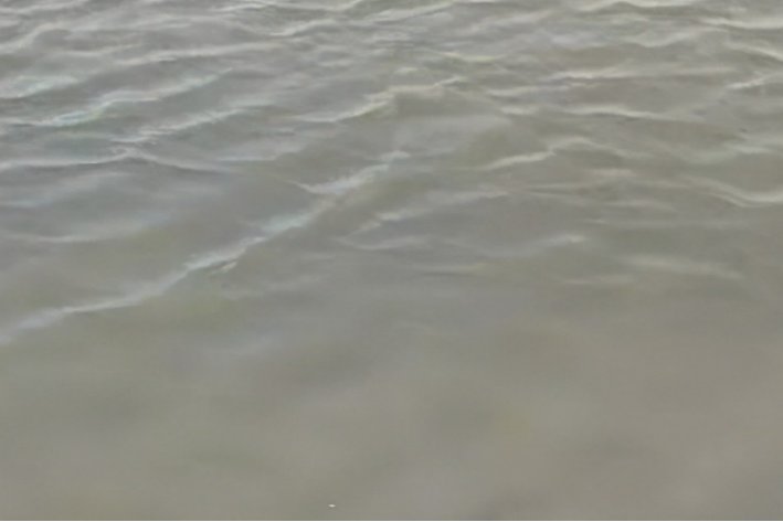 浑的笔顺笔画
