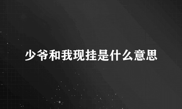 少爷和我现挂是什么意思