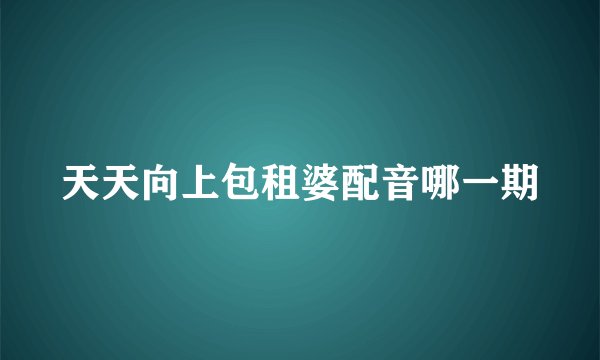 天天向上包租婆配音哪一期