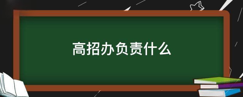 高招办负责什么