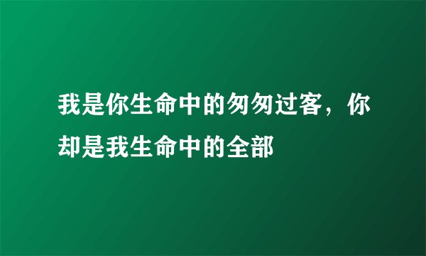 我是你生命中的匆匆过客，你却是我生命中的全部