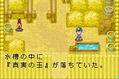 牧场物语矿石镇的伙伴们真实之玉在哪要有图片