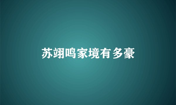 苏翊鸣家境有多豪