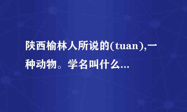 陕西榆林人所说的(tuan),一种动物。学名叫什么？求解答！