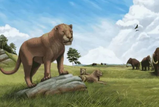 西伯利亚发现了4万年前幼狮化石，这化石有什么特别之处？