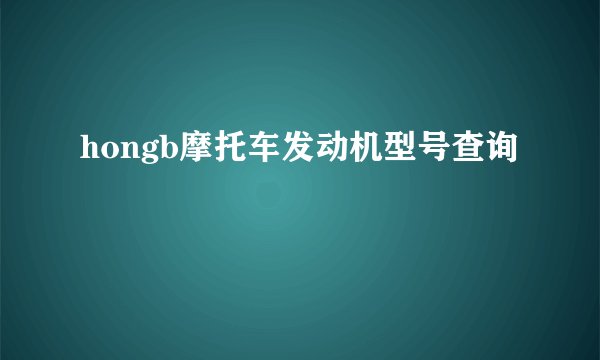 hongb摩托车发动机型号查询