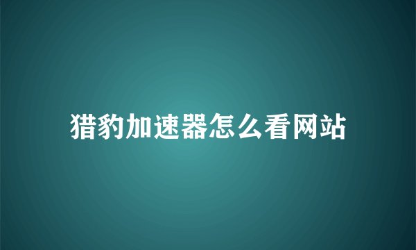 猎豹加速器怎么看网站
