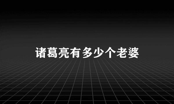 诸葛亮有多少个老婆