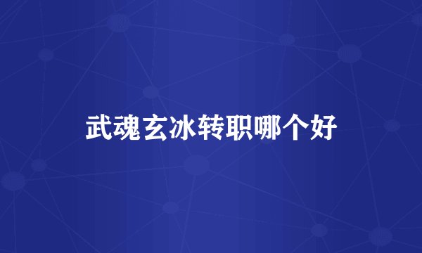 武魂玄冰转职哪个好