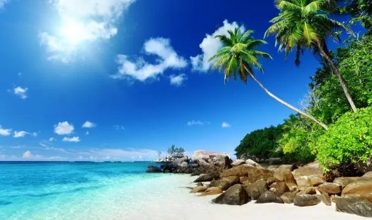 立夏看夏的意思