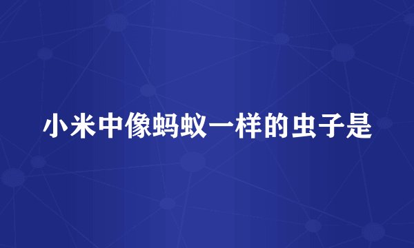 小米中像蚂蚁一样的虫子是