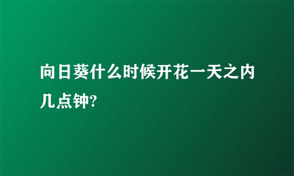 向日葵什么时候开花一天之内几点钟?