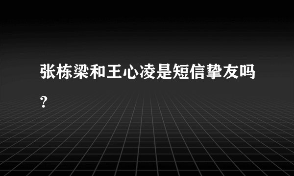 张栋梁和王心凌是短信挚友吗？
