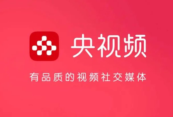 哪个播放器可以看世界杯直播