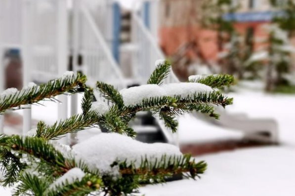 黑龙江漠河5月份出现飘雪，为何现在极端天气总是频繁出现？