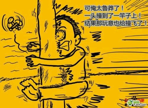 肉灵芝事件的背景