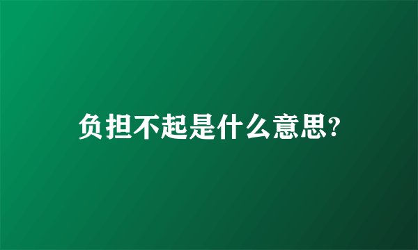 负担不起是什么意思?