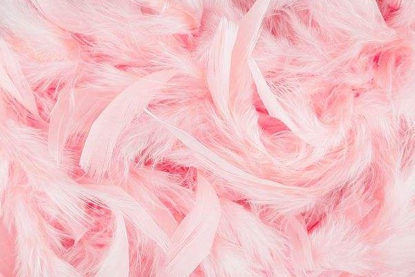 pink是什么意思