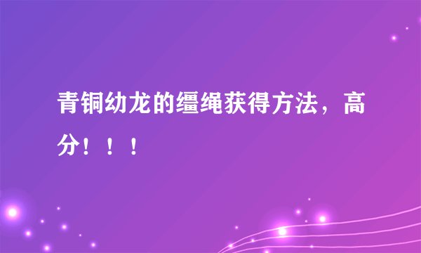 青铜幼龙的缰绳获得方法，高分！！！