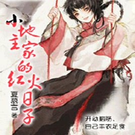 小地主家的红火日子的小说简介