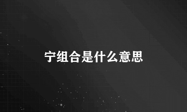 宁组合是什么意思