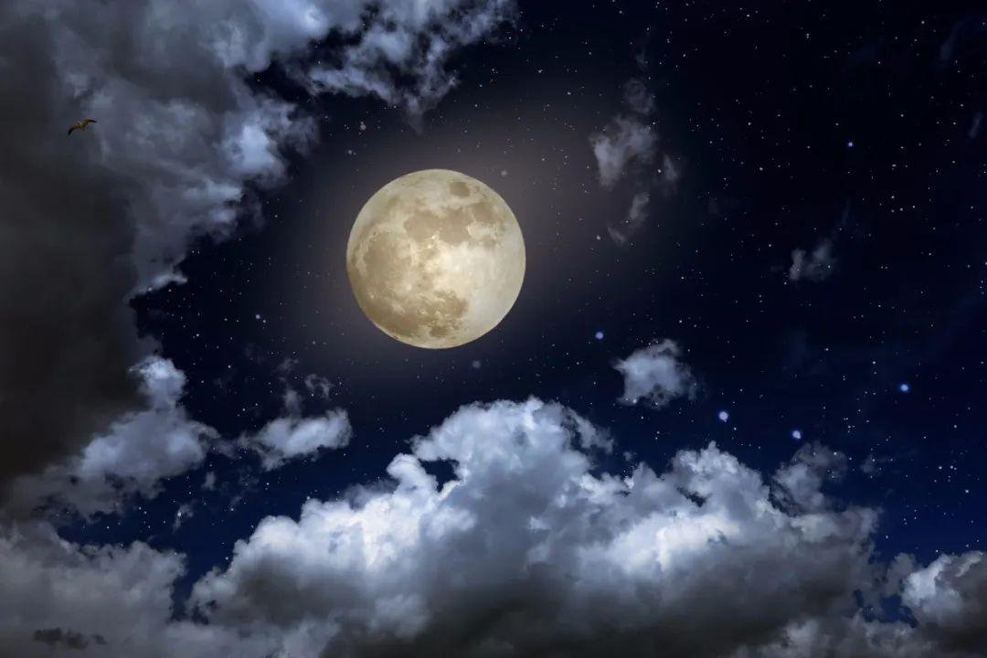 今夜月亮消失了英语怎么翻译？