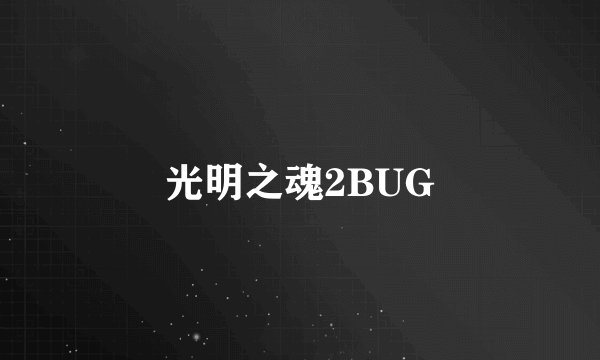 光明之魂2BUG