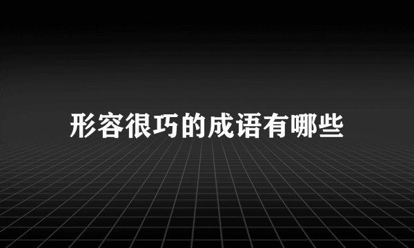 形容很巧的成语有哪些