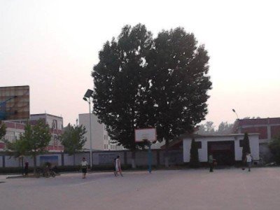 中国第一个村级市在哪里？
