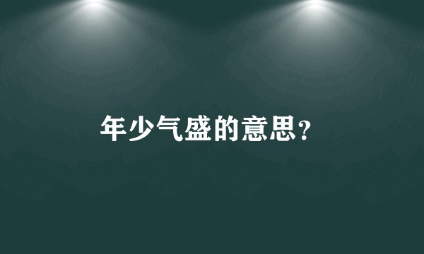 年少气盛的意思？