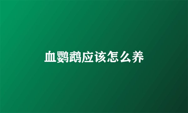 血鹦鹉应该怎么养