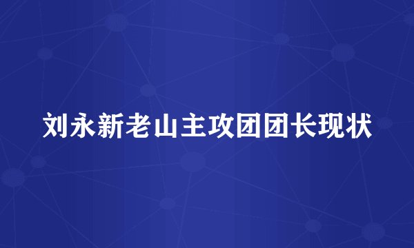 刘永新老山主攻团团长现状