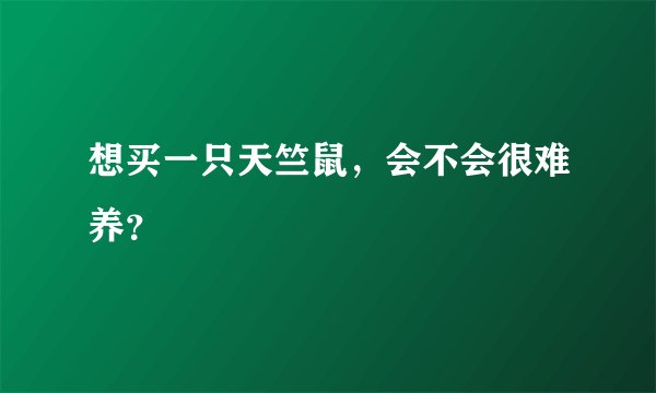 想买一只天竺鼠，会不会很难养？