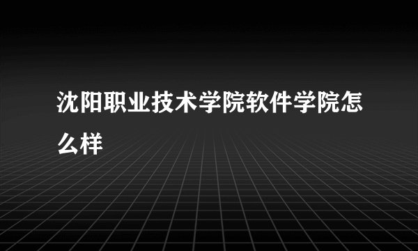 沈阳职业技术学院软件学院怎么样