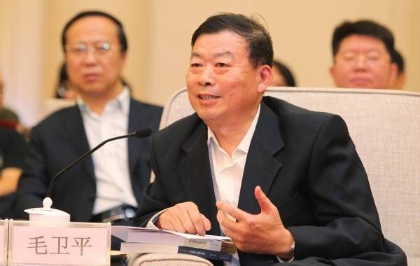 毛卫平的介绍