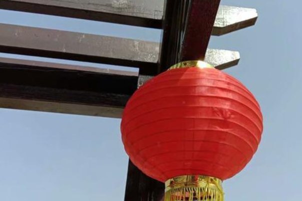 已的笔顺怎么写