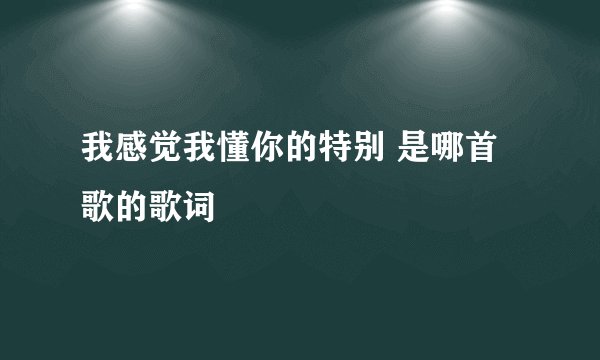 我感觉我懂你的特别 是哪首歌的歌词