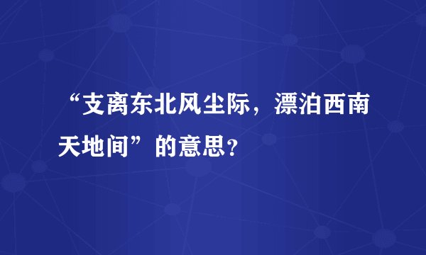 “支离东北风尘际，漂泊西南天地间”的意思？