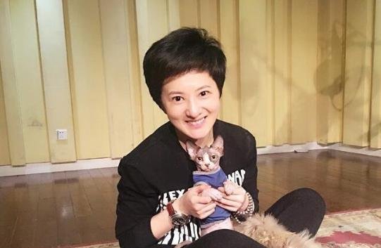 被撒贝宁暗恋20年的国民闺女，因陈道明的话决心考北大，后来去哪了？