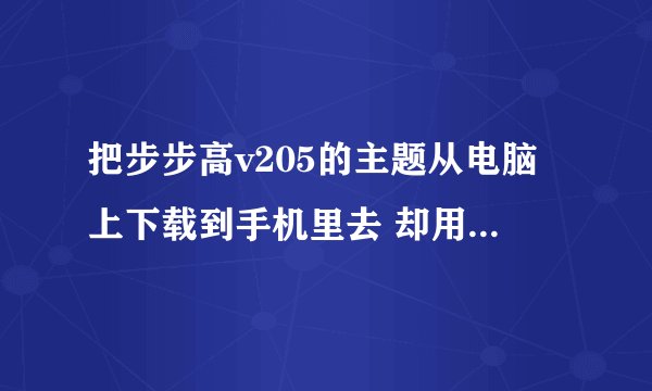 把步步高v205的主题从电脑上下载到手机里去 却用不了，为什么？