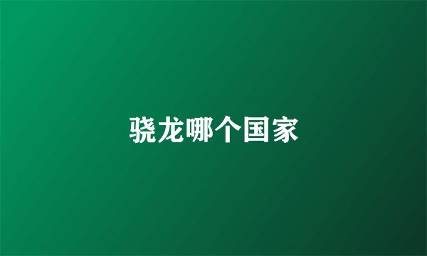 骁龙哪个国家
