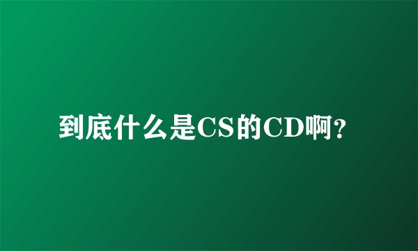 到底什么是CS的CD啊？