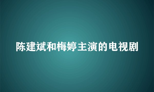 陈建斌和梅婷主演的电视剧