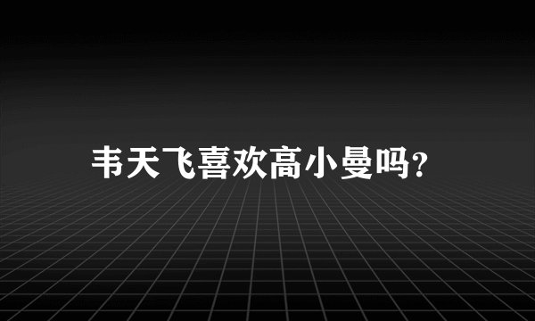 韦天飞喜欢高小曼吗？