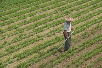 五一劳动节的诗句和名言有哪些？